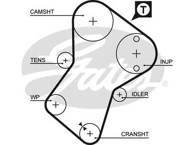 Gates 5049 XS. Ремень ГРМ