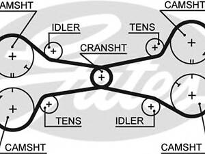 Gates 5312. Ремень ГРМ