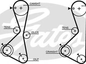Gates 5373 XS. Ремінь ГРМ