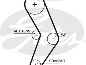 Gates 5662XS. Ремень ГРМ