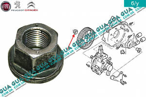 Гайка шестерни ( звездочки ) привода ТНВД 9608130180 Citroen / СИТРОЭН JUMPER 1994-2002 / ДЖАМПЕР 1, Citroen / СИТРОЭН J