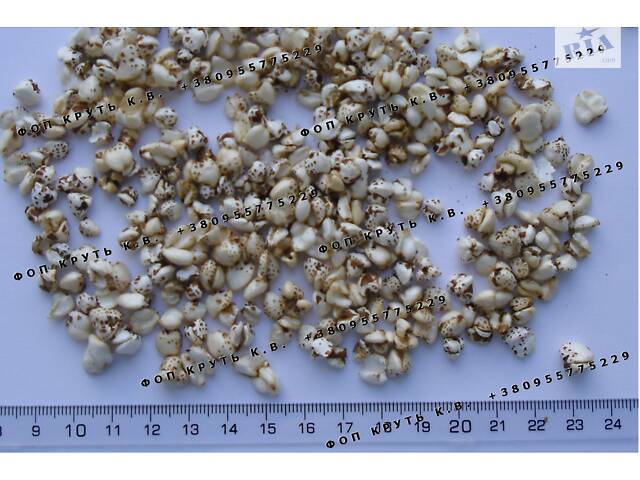 Гречиха воздушная 1кг взорванная Puffed buckwheat - Фото 1