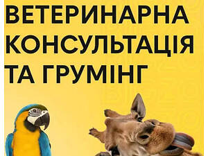Грумінг для собак, котів та всіх екзотичних тварин