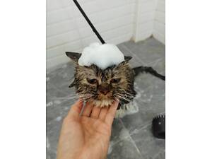 Грумінг послуги для собак, котів, та інших тваринок