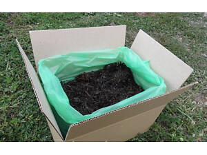 Грибная коробка Белого шампиньона Готовый набор для выращивания грибов Семейный 30 х 30 см 5 кг (hub_ntgv91671)