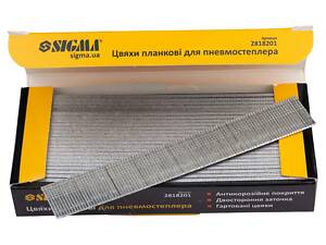 Цвяхи планочні 20×1.25×1мм для пневмостеплера 5000шт SIGMA (2818201)