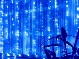 Гірлянда штора Водоспад 3х2 м 280 LED (прозорий шнур, з перехідником) Синє світло