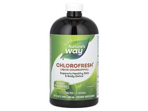 Хлорофилл, Chlorofresh, Nature's Way, жидкий, без вкуса, 480 мл