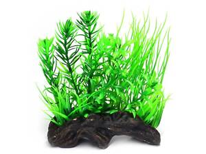 Захоплення Штучна рослина Hobby Flora Root 2 S 17 см