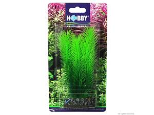 Хобі Штучна рослина Hobby Mayaca 16см