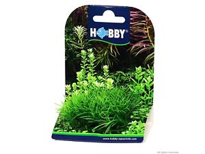 Хобі Штучна рослина Hobby Plant Pad 2, 7x4.5x4.5см