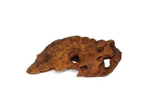 Hobby Коряга для аквариума Hobby Mangrove Wood S 15-25 см