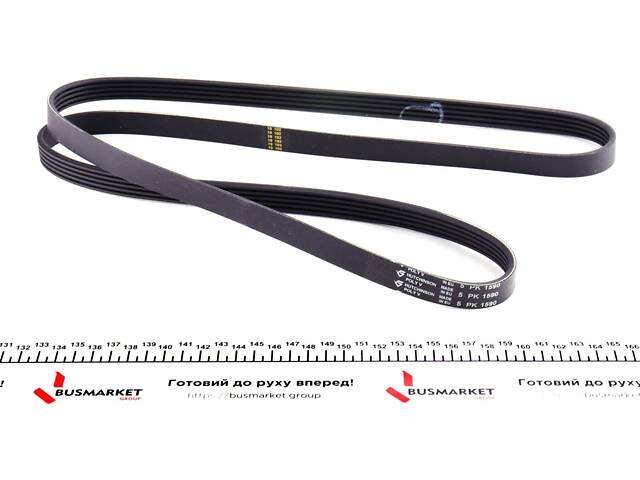 HUTCHINSON 1590 K 5 Ремінь генератора VW Passat 1.9TDI -00 (5PK1590) - Фото 2