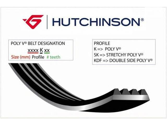 HUTCHINSON 975 K 6. Ремінь генератора (поліклиновий)