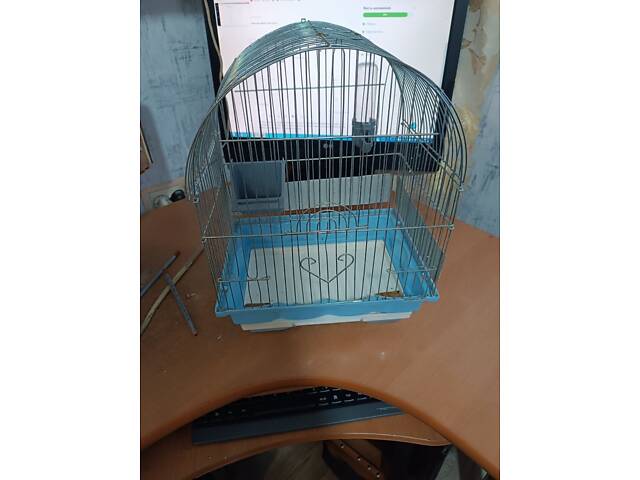 Хвилясті папуги - Фото 3