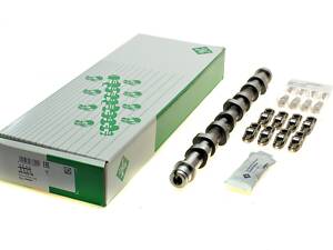 INA 428 0035 30 Комплект распределительного вала Citroen Nemo/Peugeot Bipper 1.4 HDi 08-, DV4TED, 50kw