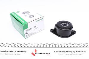 INA 534 0171 10 Натяжник ремня генератора BMW 3 (E46) 3.0D 99-, M57 D25/D30