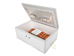 Инкубатор «Курочка Ряба» ИБ-100 ламповый с механической системой переворачивания яиц