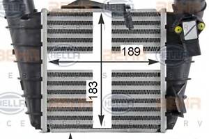 Интеркулер для моделей: SEAT (IBIZA, CORDOBA), SKODA (FABIA,FABIA,FABIA,FABIA,ROOMSTER,FABIA,FABIA,ROOMSTER), VOLKSWAG