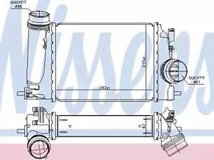 Інтеркулер на Kadjar, Megane, Qashqai, Rogue, Scenic, Talisman, X-Trail