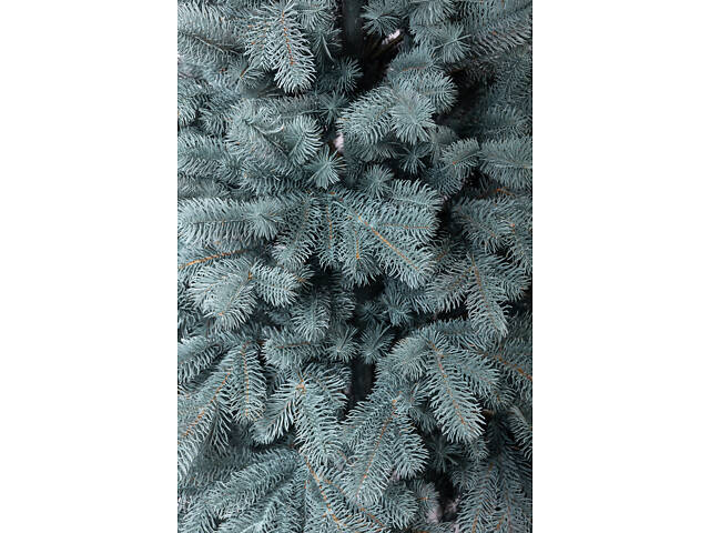 Ялинка штучна 1.5 м Говерла смарагд - Фото 6