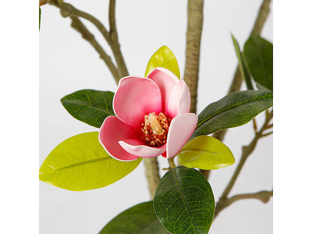 Искусственное растение Engard Magnolia, 150 см (DW-18) - Фото 3