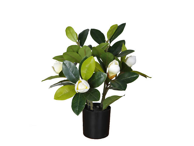 Искусственное растение Engard Magnolia 40 см (DW-16) - Фото 1