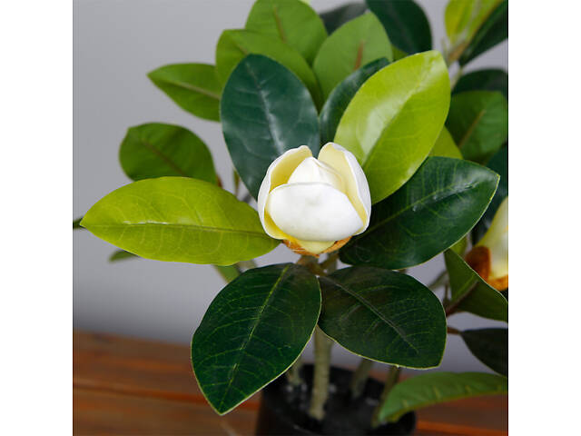 Искусственное растение Engard Magnolia 40 см (DW-16) - Фото 2