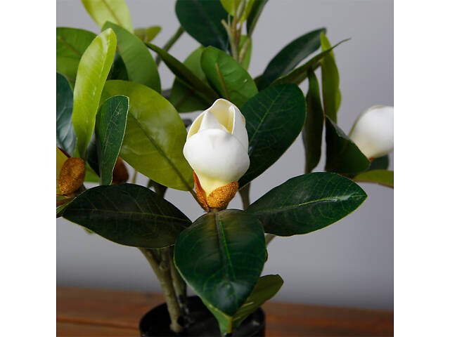 Искусственное растение Engard Magnolia 40 см (DW-16) - Фото 3