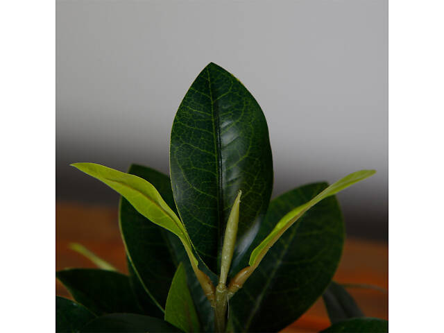 Искусственное растение Engard Magnolia 40 см (DW-16) - Фото 5