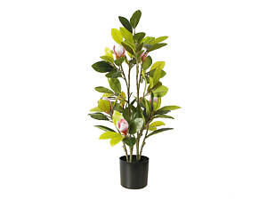 Искусственное растение Engard Magnolia 70 см (DW-17)