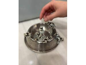 Жабовидна квакша, деревна жабка арлекін