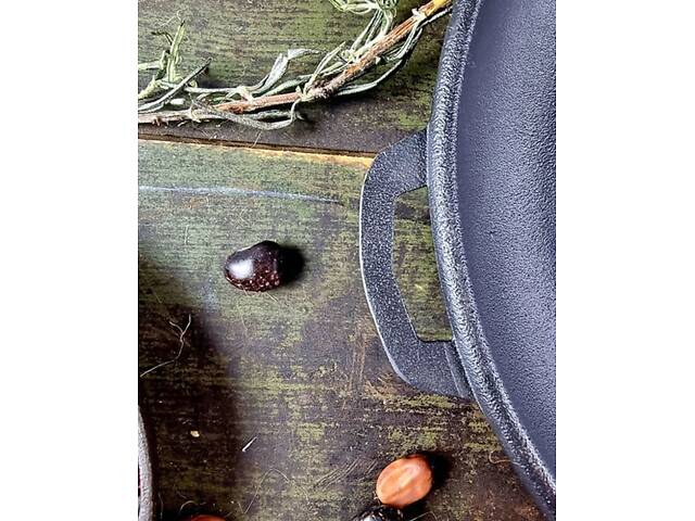 Жарівня чавунна SNT Т1011 20х4 см чорна - Фото 4