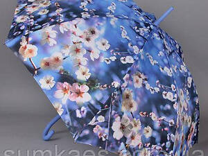 Жіноча тростина ZEST, серія Фото забарвлення Блакитна Сакура