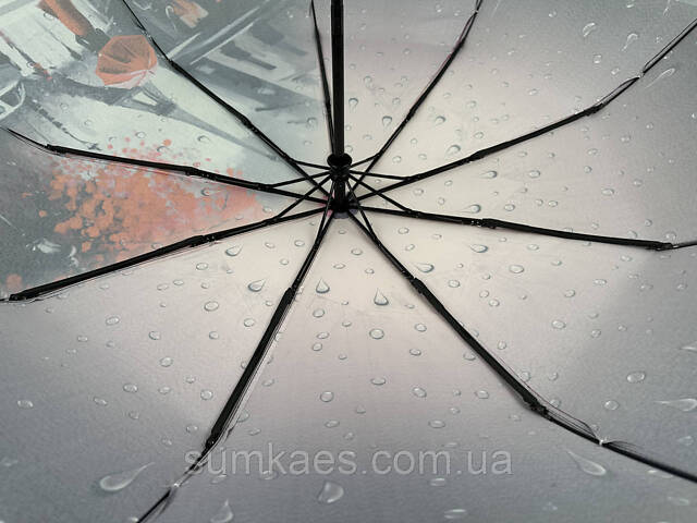 Женский автоматический зонт на 9 спиц от Frei Regen с принтом города, сатиновый купол, розовая ручка, 09074-6 - Фото 7