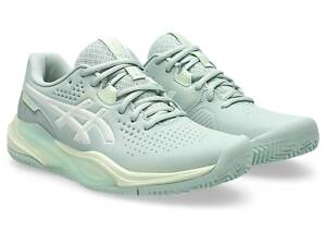 Жіночі кросівки Asics Gel-Challenge 15 clay Lichen Rock/White (39.5) 8 1042A293-300 39,5