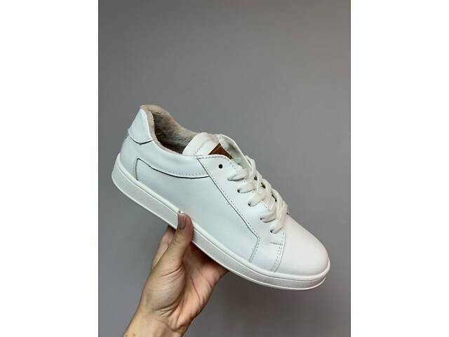 Жіночі кросівки Ecco зима - Фото 1