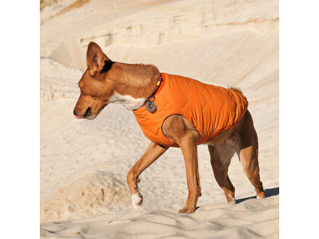Жилет для тварин Pet Fashion 'E.Vest' М помаранчевий (4823082424313) - Фото 3