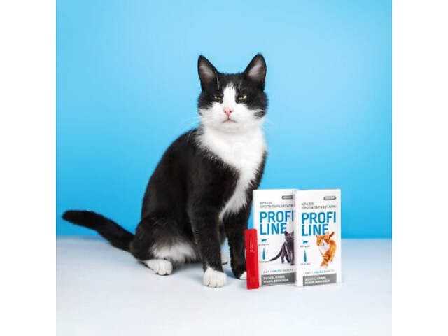 Краплі для тварин ProVET Profiline інсектоакарицид для котів 4-8 кг 4/1 мл (4823082431106) - Фото 3