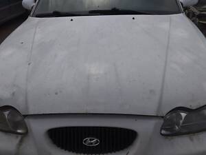 Капот hyundai sonata 97г.