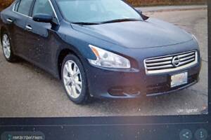 КАПОТ NISSAN MAXIMA 08-