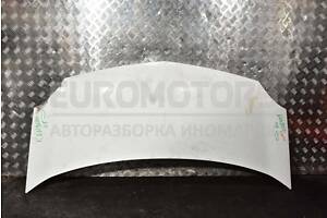 Капот Renault Kangoo 2008-2013 651329338R 304165