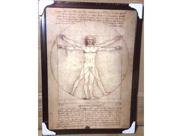 Картина 'Вітрувіанська людина'