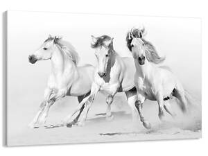 Картина на холсте Art Dekors Белые Лошади 40x80 см MLP 397