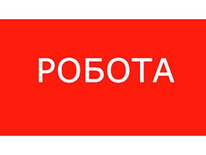 Касир на овочеву базу