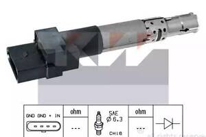 Катушка зажигания на A3, Cayenne, Eos, Golf, Leon, Multivan, Passat B6, Phaeton, TT, Touareg, Transporter T5