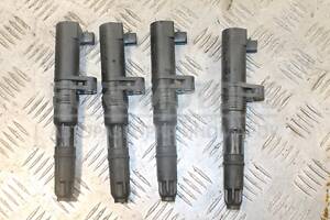 Катушка зажигания Renault Kangoo 1.2 16V, 1.4 8V, 1.6 16V 1998-2008 0040100052 131311
