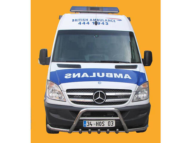 Кенгурятник с усами WT003-Plus (нерж.) для Mercedes Sprinter W906 2006-2018 гг - Фото 7