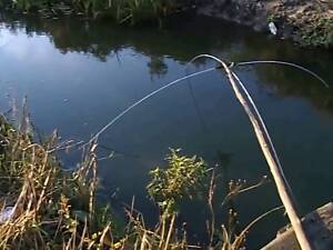 Нападки (Крошня, паук, фото, подъемник)