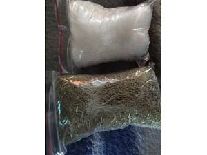 Відкрита раколовка [павук]